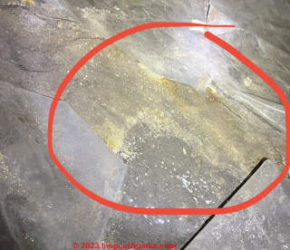 yellow mold in crawl space (C) InspectApedia.com Erik