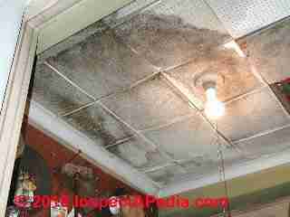 Asbestos containing acoustic ceiling tiles