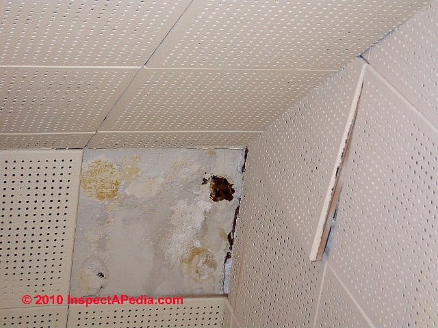 asbestos ceiling tile size