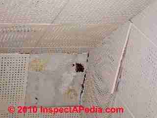 Asbestos containing acoustic ceiling tiles