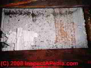 Asbestos paper insulation found by DF in an attic floor in New York (C) Daniel Friedman