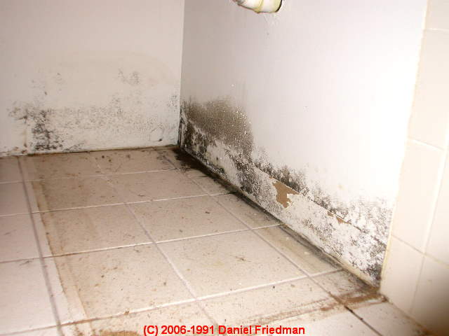 How long does it take for exposure to black mold to negatively effect a person's health?