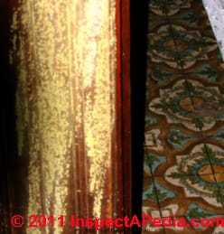 Yellow mold on building wall paneling - Meruliporia incrassata