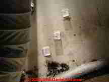 Photograph of tape samples of mold on drywall .
