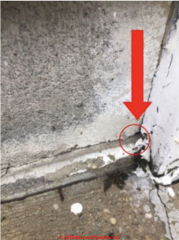 Small cracks in inconcrete foundation (C) InspectApedia.com Harris