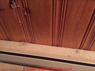 Carpenter ant frass on indoor surfaces leads to further investigation (C) InspectApedia.com  RW