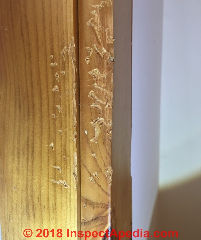 Dog chew damage to wood trim indoros (C) InspectApedia.com  Richard ig