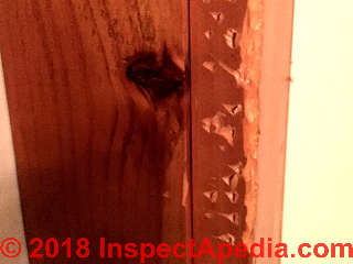 Dog chew damage to wood trim indoros (C) InspectApedia.com  Richard ig