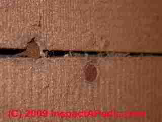 Fiberboard sheathing like Homasote (C) Daniel Friedman