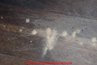 Old house borer or powder post beetle damage to a beam (C) InspectApedia.com D Carlson