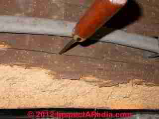 Powder post beetle old house borere damage photographs (C) D Friedman D Grudzinski