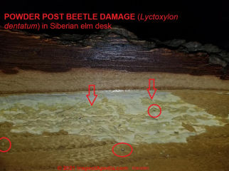 Power post beetle damage to furniture: identification, treatment, prevention (C) InspectApedia.com Kiersten