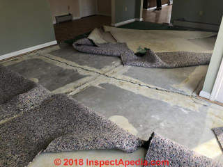 Significant crack in concrete floor slab (C) InspectApedia.com LL
