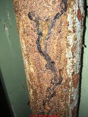 Rusty steel column in rental property appears unsafe (C) InspectApedia.com renter