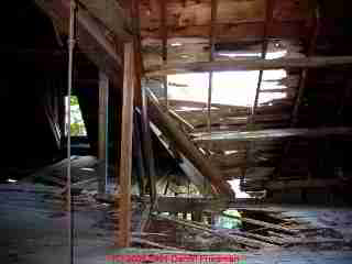 Photograph of  severe roof structure damage from an unattended roof valley leak in a historic home.