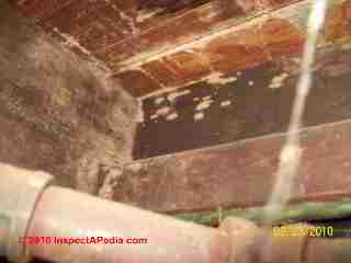 Termite damage photographs (C) D Friedman D Grudzinski