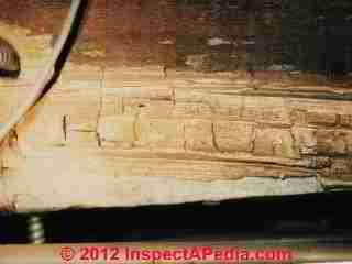 powder post beetle damage © Daniel Friedman at InspectApedia.com