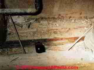 powder post beetle damage © Daniel Friedman at InspectApedia.com