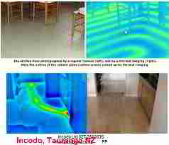 Thermal image example, Paul Probett, Incodo 2008