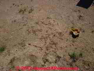 Signs of risk of termite attack © Daniel Friedman at InspectApedia.com