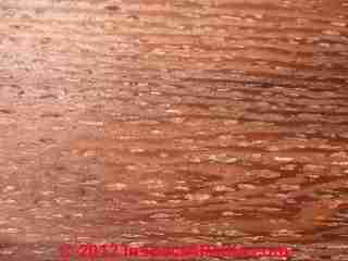 Unidentified insect damage to wood (C) MJS & InspectApedia