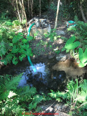 Pumping springwater in Jalpan, Queretaro, Mexico (C) Daniel Friedman at InspectApedia.com