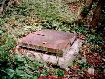 Photograph of an open spring providing water to an old property.