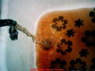 Photograph of smelly dirty water running into a bathtub of a Poughkeepsie NY Home (C) Daniel Friedman