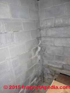 Water stains and effloresence in the corner of a basement and what it means: downspout spillage (C) Daniel Friedman