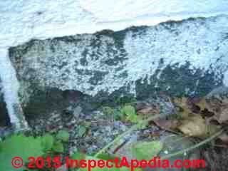 Spalling concrete foundation wall - masoanry block damage (C) InspectAPedia Arlene Puentes