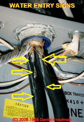 Water tracking marks show leaks into electrical panel (C) Daniel Friedman