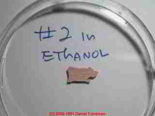 Ethanol solution testing a paint chip (C) Daniel Friedman