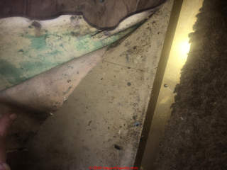 1963 asbestos suspect floor tile in good condition - (C) InspectApedia.com Kristina