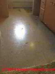 Gray speckled Kentile asphalt asbestos flooring in a bathroom, Oshkosh WI (C) InspectApedia Sarah