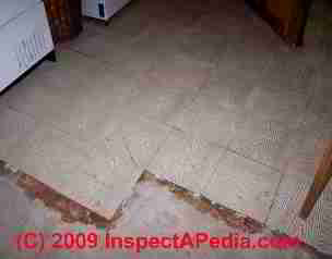 Everlast Vinyl Asbestos Floor Tile (C) D Friedman D Grudzinski