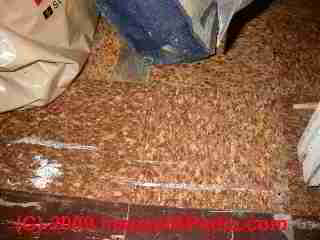 Asphalt asbestos floor tile (C) Daniel Friedman
