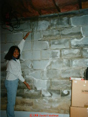 Photo of a wet basement masonry block wall