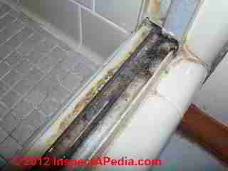 Bathroom mold suspect (D) D Friedman and KL
