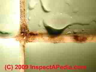 Bath tile mold closeup (C) Daniel Friedman