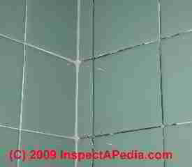 Black mold on bath tile grout (C) Daniel Friedman