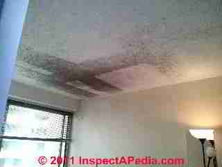 Mold contaminated apartment ceiling (C) D Friedman and SM