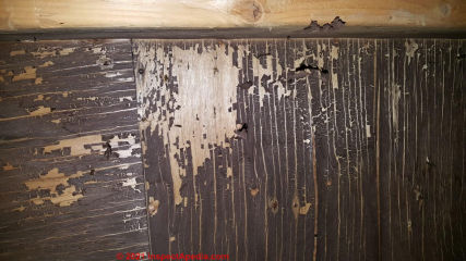 Black roof sheathing from moisture and mold (C) InspectApedia.com Fred