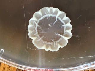 Yeast like growth on mold culture plate (C) InspectApedia.com David
