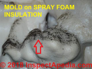 Dark or black mold growth on spray foam insuilation in a Florida home (C) InspectApedia.com Mark Cramer