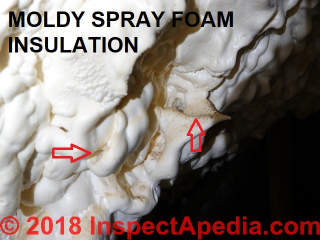 Dark or black mold growth on spray foam insuilation in a Florida home (C) InspectApedia.com Mark Cramer
