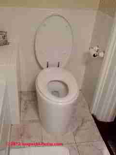 Electric flush Kohler toilet (C) Daniel Friedman