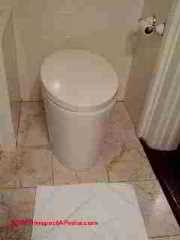 Electric flush Kohler toilet (C) Daniel Friedman