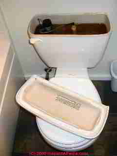 low flush toilet information stamp (C) Daniel Friedman