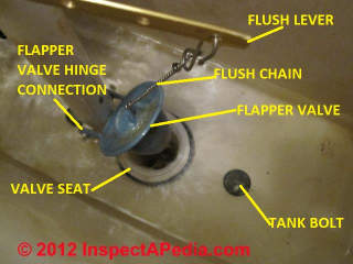 Toilet flapper valve in use (C) Daniel Friedman