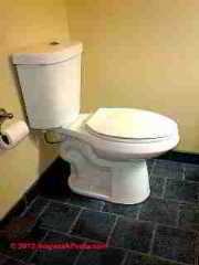 Top flush flush valve toilet Glacie Bay (C) Daniel Friedman